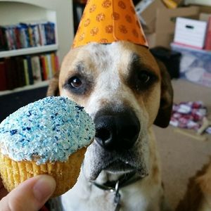 Fundraising Page: Genevieve Davis